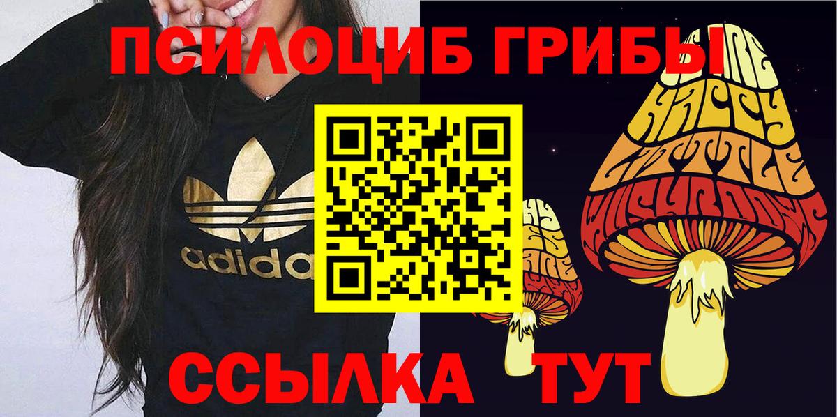 Светлоград  Псилоцибиновые грибы Psilocybine cubensis  Вход с VPN  Галлюциногенные грибы Cubensis 
