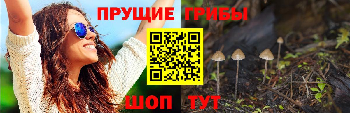 Галлюциногенные грибы мухоморы Светлоград